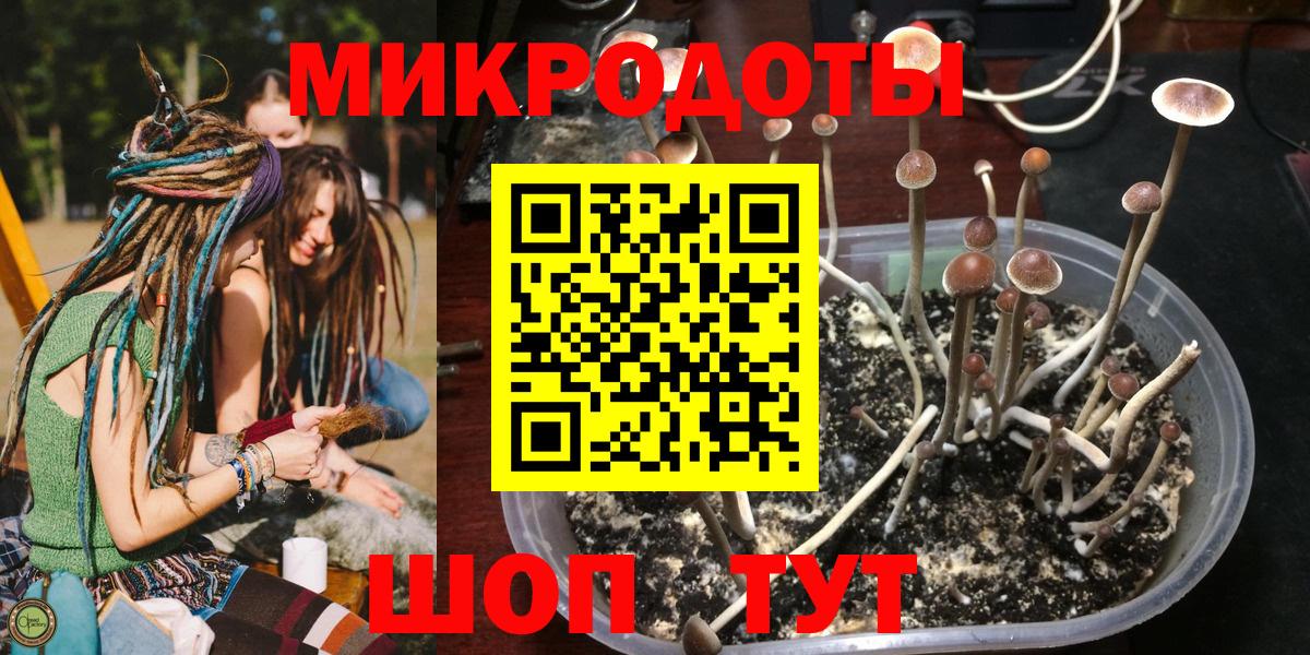 Галлюциногенные грибы MAGIC MUSHROOMS  Вход с VPN  Новокубанск 