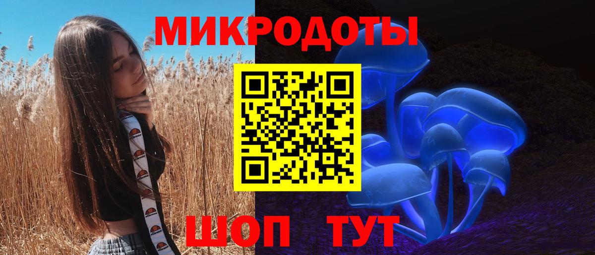 Галлюциногенные грибы мицелий Новокубанск