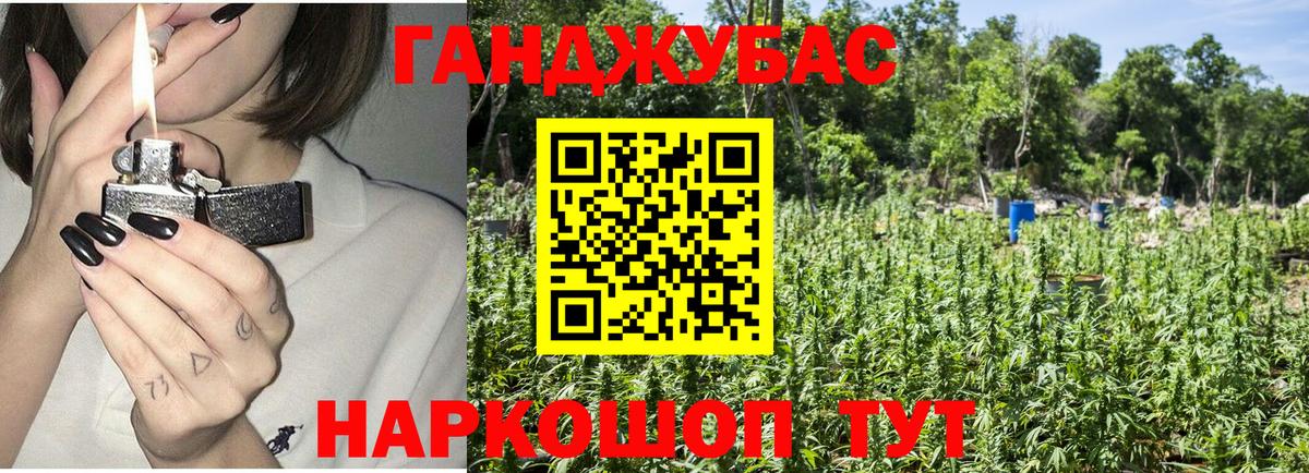 Каннабис планчик Новокубанск